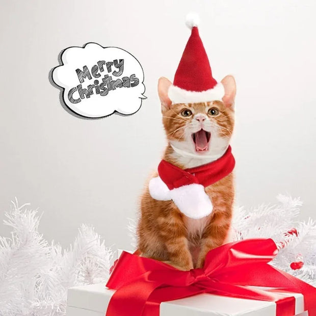 Festive Pet Costume Set Adjustable Santa Hat Scarf Fun