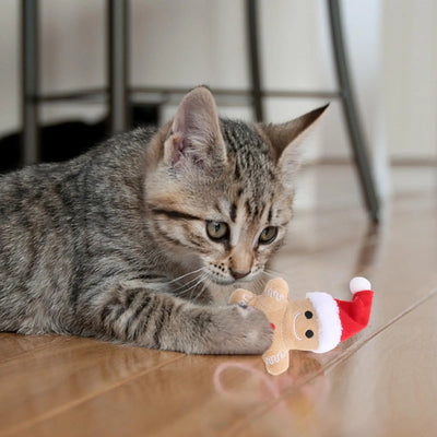Joyful Gingerbread Plush Catnip Teething Toy for Pets Fun