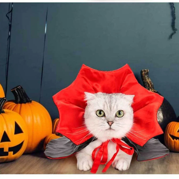 Spooky Vampire Pet Costume Set Satin Cloak For Dress Up Fun