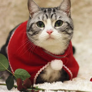 Festive Cat Cloak Scarf With Plush Santa Hat Holiday Fun