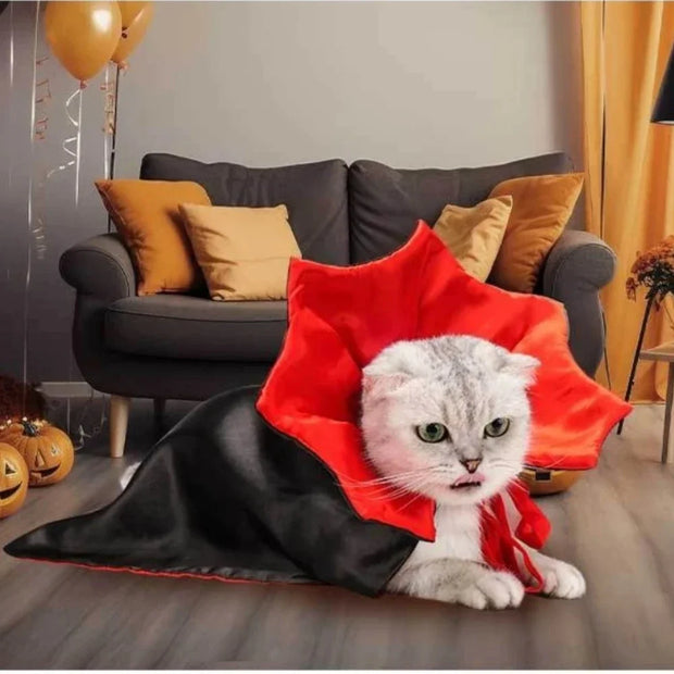 Spooky Vampire Pet Costume Set Satin Cloak For Dress Up Fun