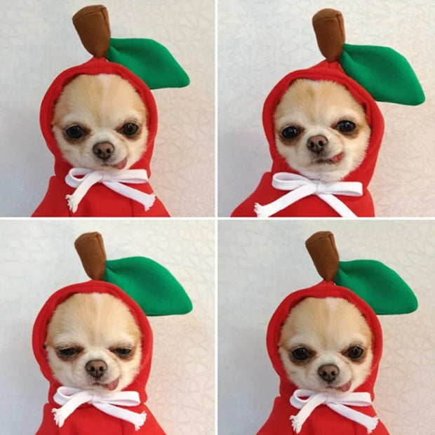 Cozy Pet Hoodie Sweater With Fruit Print Keeps Pets Warm