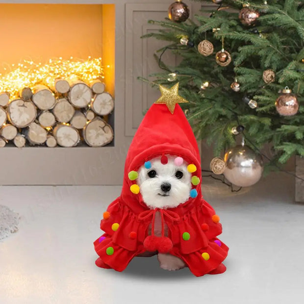 Festive Cat Christmas Outfit Star Pompom Cape Delights Pets