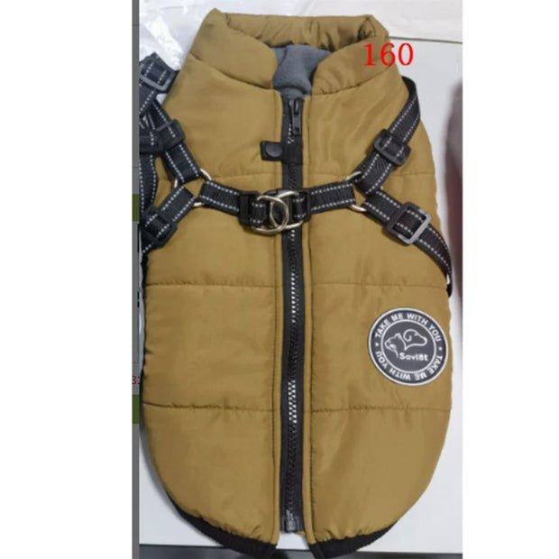 Cozy Waterproof Dog Jacket With Harness Keeps Dogs Warm