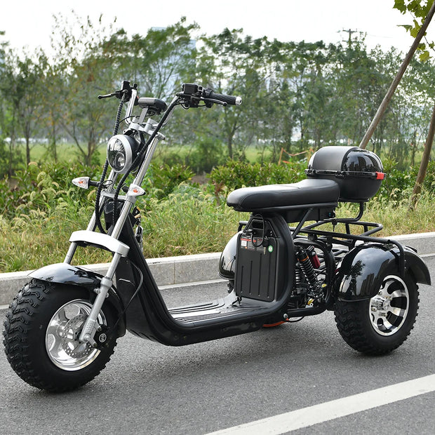 Adult Electric 3 Wheel Scooter 2000W Motor Max Speed 35-45KM/H Max Load 250KG 18 Inch Off road Fat Tire Electric Scooter - My Variety Superstore 25