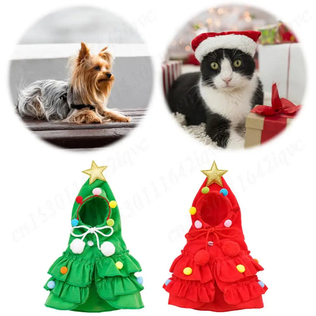 Festive Cat Christmas Outfit Star Pompom Cape Delights Pets