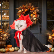 Spooky Vampire Pet Costume Set Satin Cloak For Dress Up Fun
